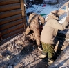 Разнорабочие Грузики,  Сборка разборка мебели