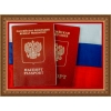 Консультация по Миграции Гражданство РФ. . Оформление РВП. ВИД.  Без очередей
