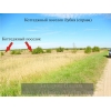 Участок в поселке Лубня.  Смоленск.