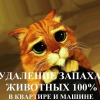 Убрать любой неприятный запах.  Озонирование.