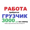 Требуется грузчик