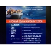 Marlins CES6. 0. 4 Поможем морякам пройти тесты
